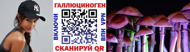 Галлюциногенные грибы Psilocybine cubensis  продажа наркотиков  Данков 